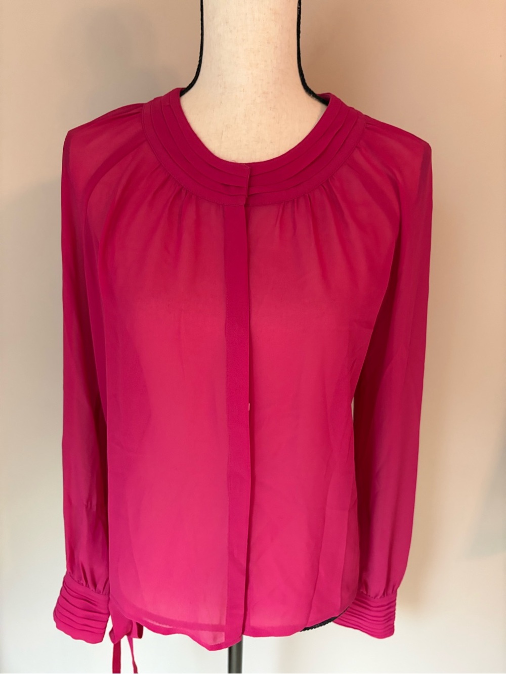 Banana Republic Factory Sheer Long-Sleeve Blouse | Women's Sz M